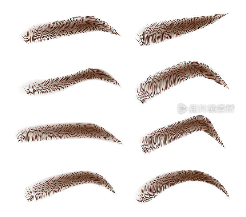 Various types of eyebrows. Classic type and different eyebrow thickness. Brown eyebrow bag. Brown eyebrows isolated on white background. Vector illustration